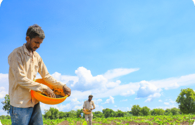 Organic Farming – From Soil Health to Farmer Prosperity