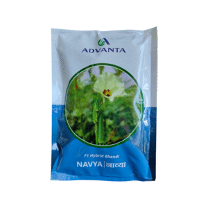 Advanta-seeds