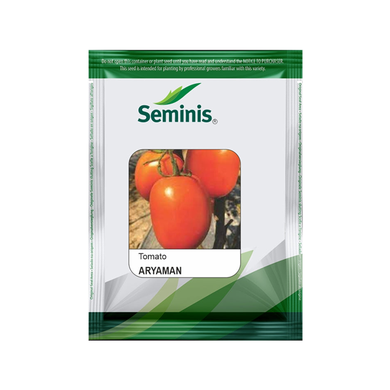 Aryaman-Tomato-Seeds