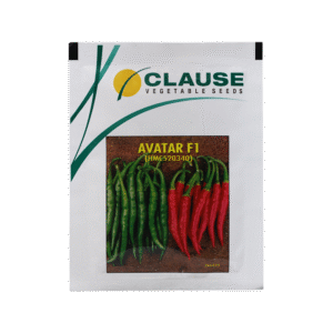 Avatar-Chilli-F1-Clause-seeds