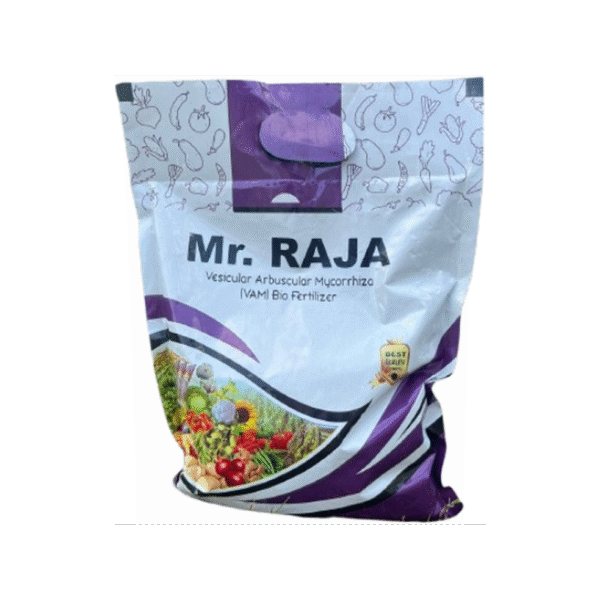 Bhumi Mr Raja - Image 2