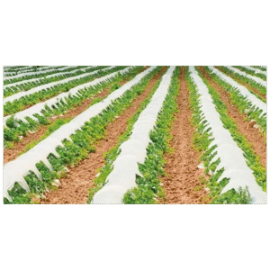 Black Mulching Paper