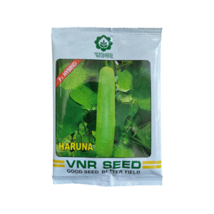 Bottle-Gourd-Haruna-VNR-Seeds