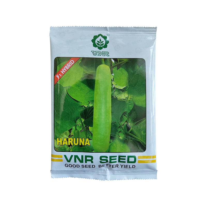 Bottle-Gourd-Haruna-VNR-Seeds