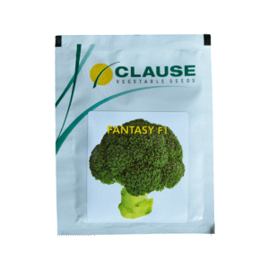 Broccoli-Fantasy-F1-Clause-Seeds