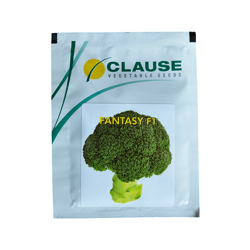 Broccoli-Fantasy-F1-Clause-Seeds