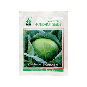 Cabbage Namdhari saurabh
