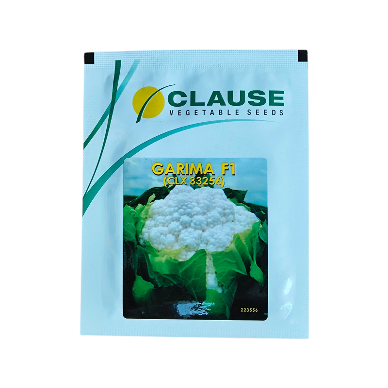 Cauliflower Garima F1 (CLX333265) Clause Seeds (10Gm)