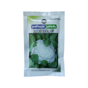 Cauliflower Pahuja Snow Ball 16