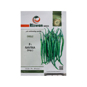 Chilli-F1-Navina-Rizwan-Seeds