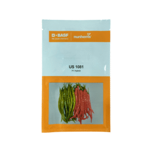 Chilli-US-1081-F1-BASF-Nunhems-Seeds
