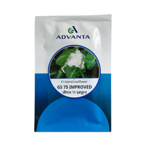 GS 75 Improved F1 Hybrid Cauliflower Advanta Seeds