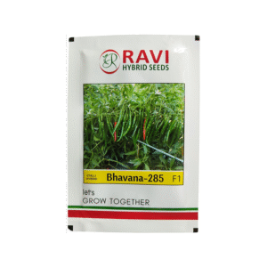 Hybrid-Chilli-Ravi-Seeds
