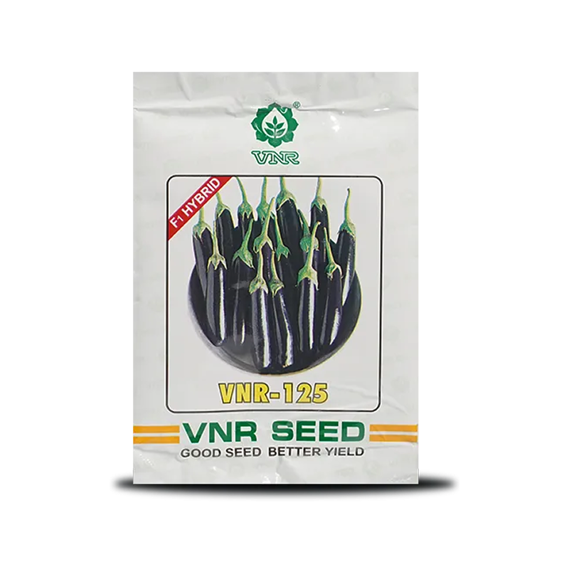 VNR 125 F1 Hybrid Brinjal Seeds – High Yield, Shiny Purple Fruits