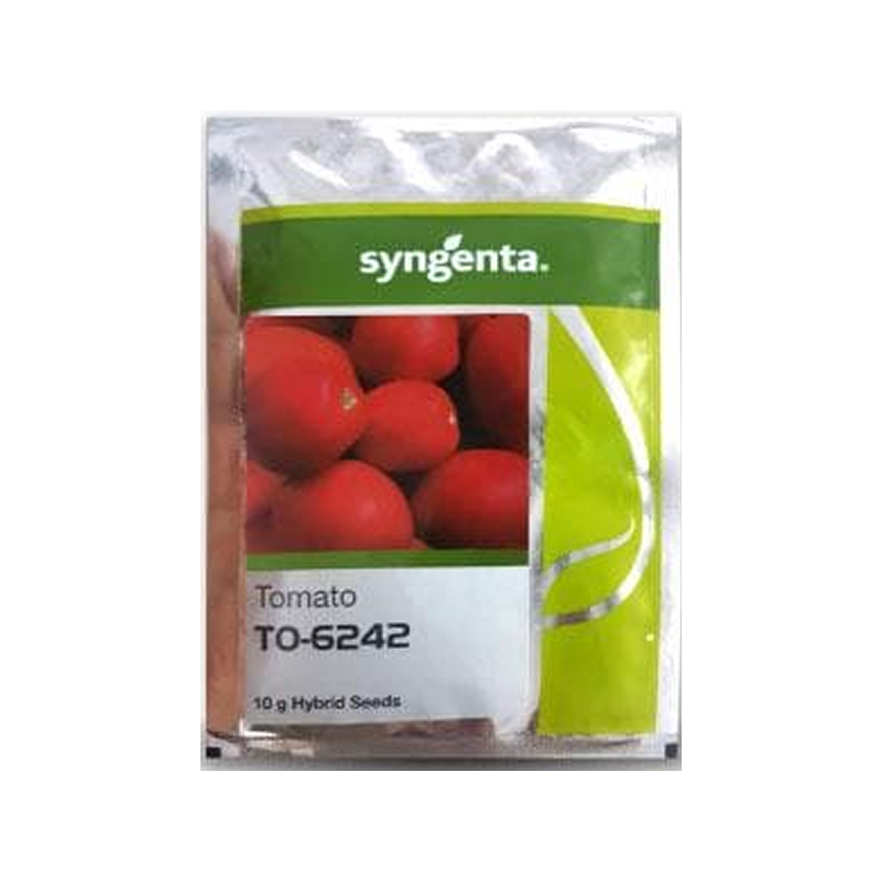TO- 6242 Tomato Seeds - Semi-Determinate