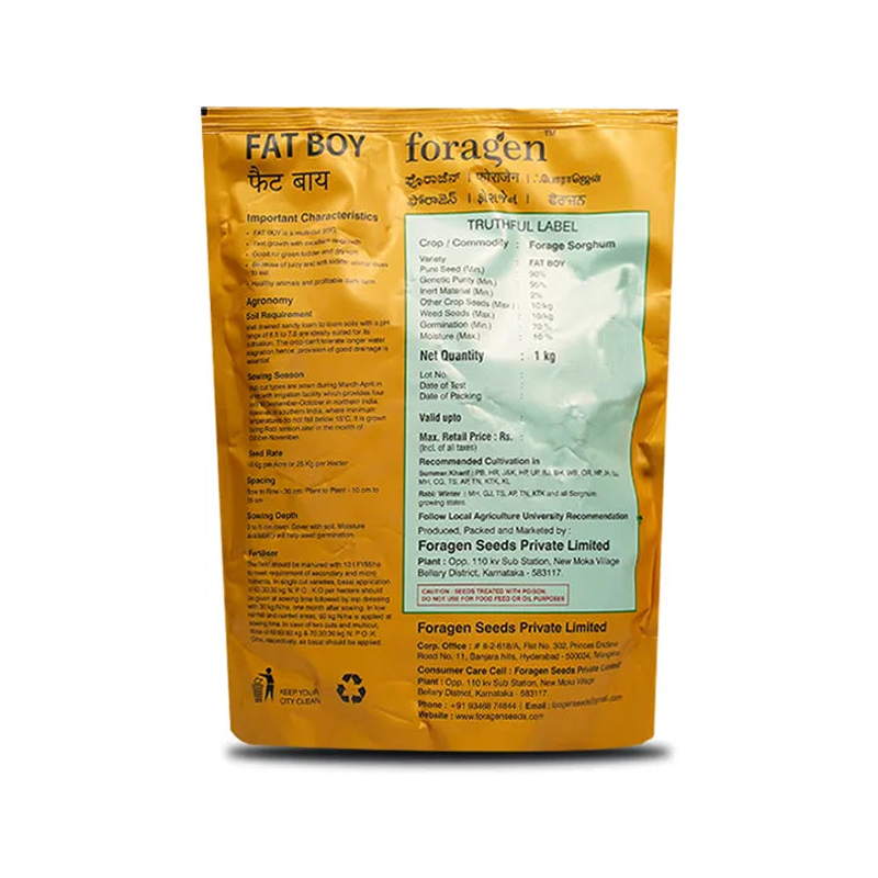 Fat Boy Multi-Cut Forage Sorghum - Fast Growth, Juicy Fodder - Image 2