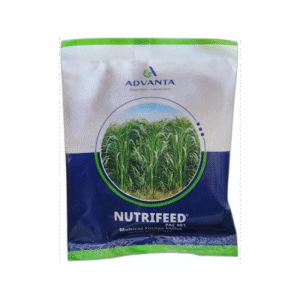 Nutrifeed-Forage-Seeds
