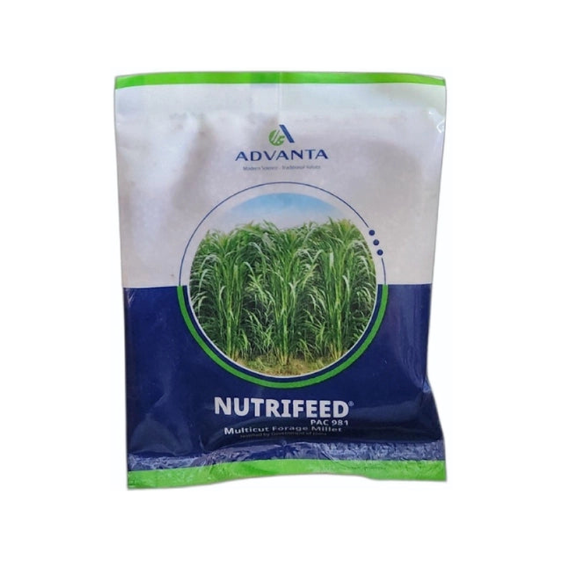 Nutrifeed-Forage-Seeds