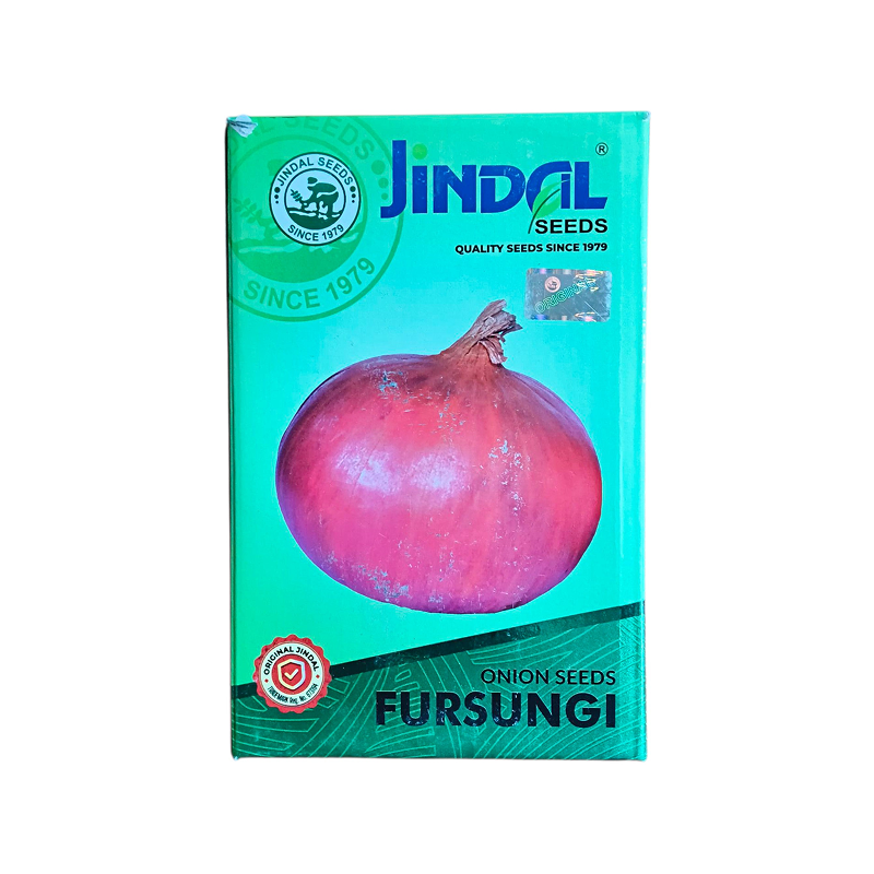 Onion-Fursungi-Jindal-Seeds