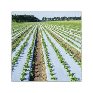 Plastic Mulching Film