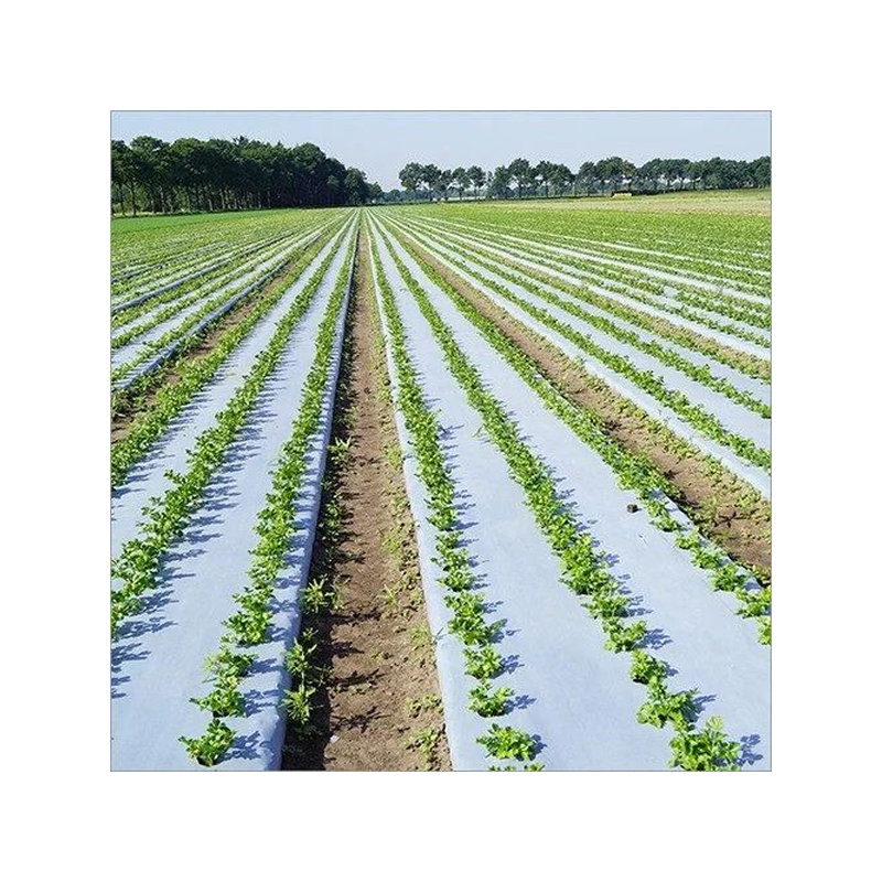 Plastic Mulching Film