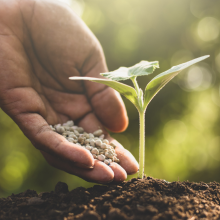 Fertilizers
