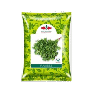 RAMSES-CORIANDER-SEEDS