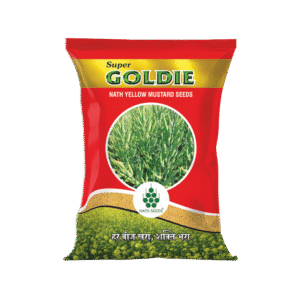 Super Goldie Nath yellow Mustard Seeds