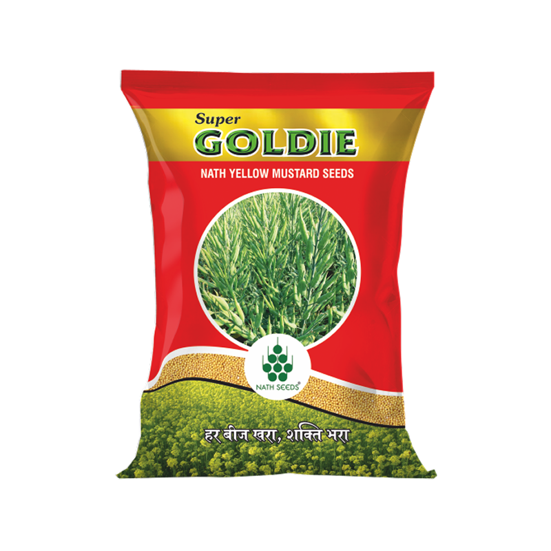 Super Goldie Nath yellow Mustard Seeds
