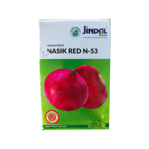 Nasik Red N 53 Onion Jindal Seeds (प्याज) 500 GM