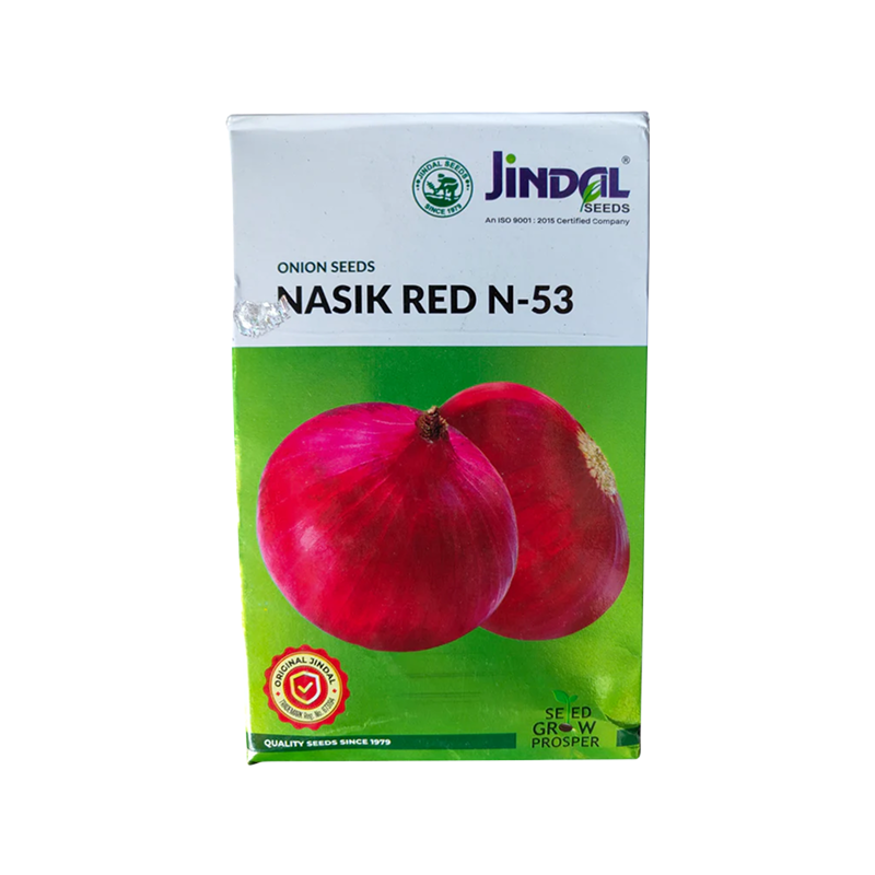 Nasik Red N 53 Onion Jindal Seeds (प्याज) 500 GM