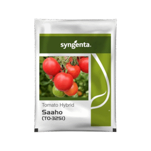 Tomato Saaho (To 3251) Syngenta Seeds (टमाटर)