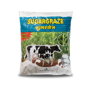 Sugargraze-Forage-Seeds