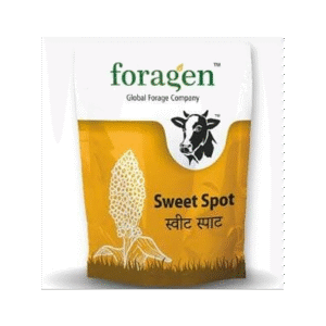 Sweet Spot Sweet Sorghum - High Brix, Juicy Fodder, Dairy Profit