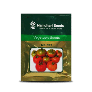 Tomato-Seeds