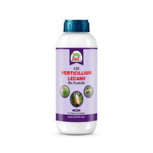 EBS VERTICILLIUM LECANII BIO PESTICIDE