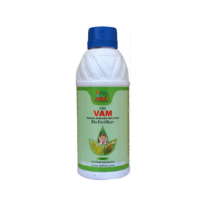 EBS VAM Vesicular Arbuscular Mycorrhiza Bio Fertilizer