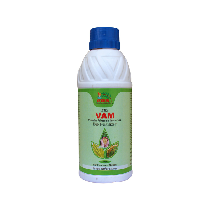 EBS VAM Vesicular Arbuscular Mycorrhiza Bio Fertilizer