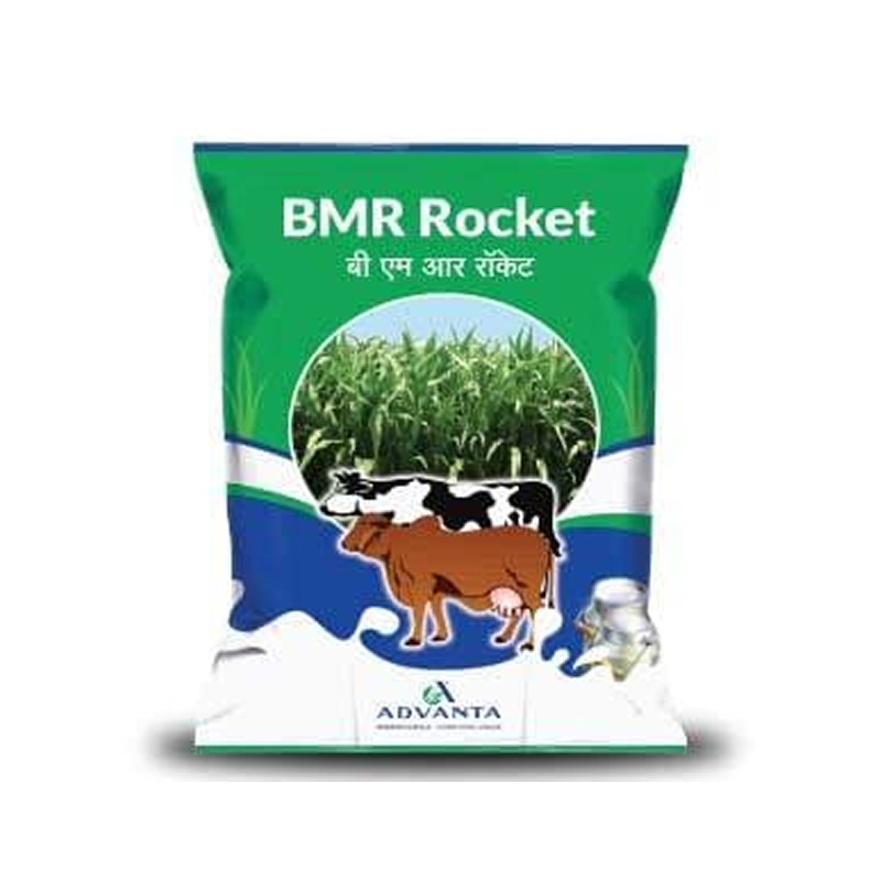BMR Rocket Forage