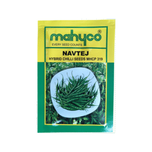 Hybrid Chilli Navtej Mahyco Seeds (मिर्ची)
