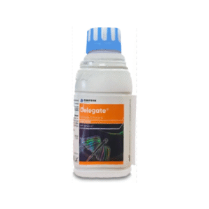 Delegate Insecticide – Fast Action, Spinetoram 11.7% SC