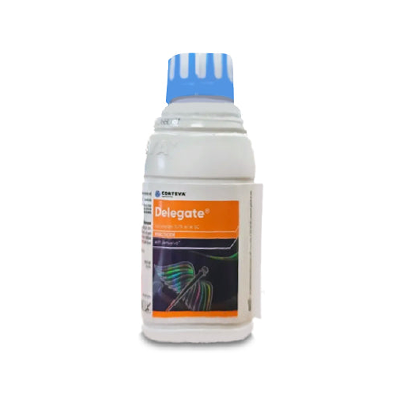 Delegate Insecticide – Fast Action, Spinetoram 11.7% SC