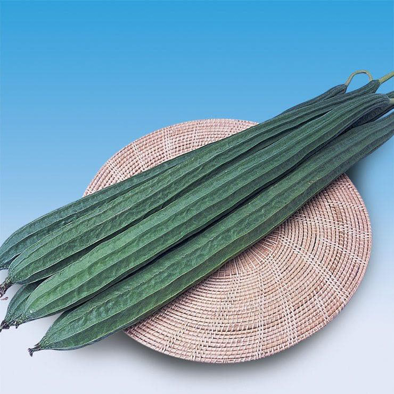 eastwest-naga-ridge-gourd-seeds-file-2065