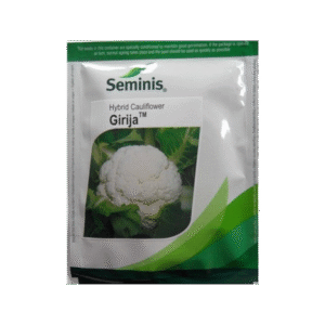 GIRIJA CAULIFLOWER SEEDS