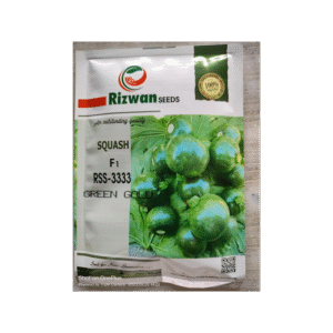 A Grade Pan India Rizwan green gold squash kaddu