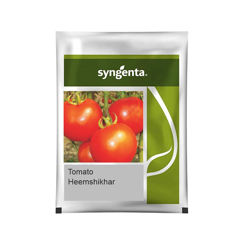Heemshikhar Tomato Seeds – High Yield, Ideal for Long-Distance Transportation