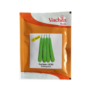 Hybrid Bottle Gourd 1830 Vachan