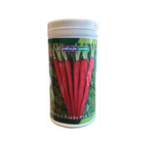 Improved Carrot Aishwarya Pahuja Seeds (500GM)