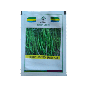 Kalash Chilli Seeds - KSP 1234 Green Plus
