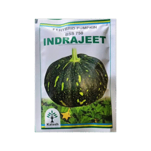 Kalash Pumpkin Bss 750 Indrajeet Hybrid Seeds